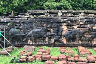 캄보디아 코끼리테라스